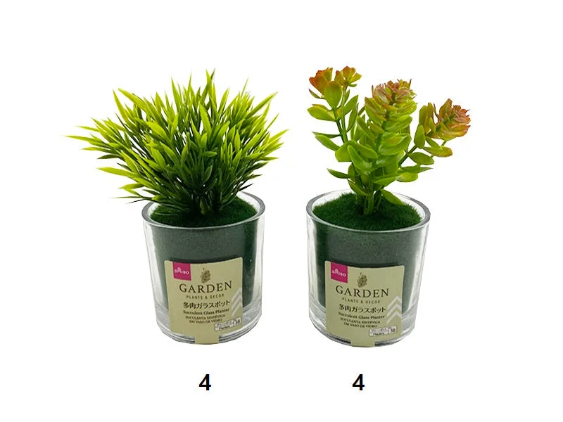Pet ProductsSucculent Glass Planter