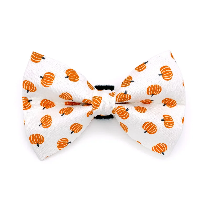 - Postoperative pet anti-licking Elizabethan collarPumpkin Dog Bow Tie (white)