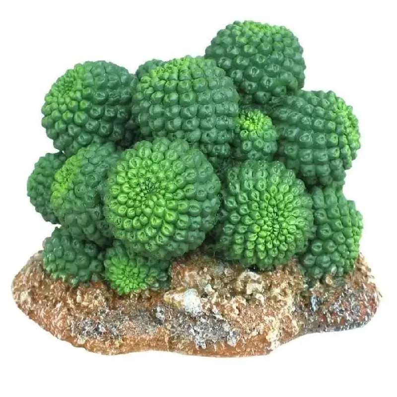 - Cat stress soothing sprayWecorama Badlands Sonoran Cactus Terrarium Ornament Sonoran Cactus Brown, Green 1ea/2.92 in - Cat stress soothing sprayWecorama Badlands Sonoran Cactus Terrarium Ornament Sonoran Cactus Brown, Green 1ea/2.92 in