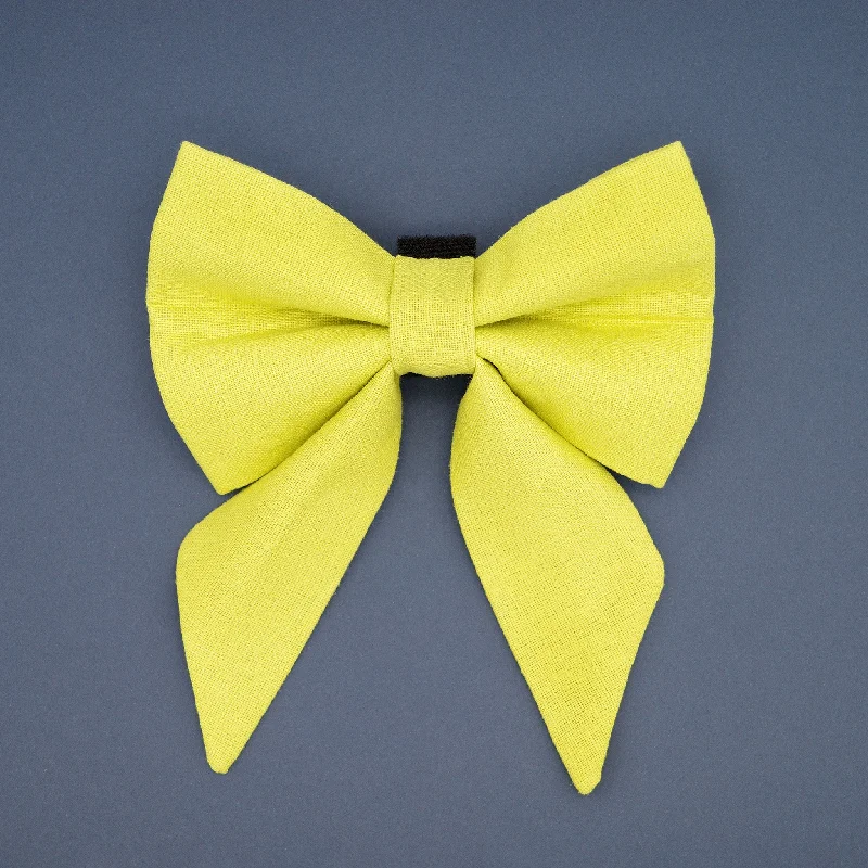 - Air box TSA certified check-inSour Apple Sailor Dog Bow