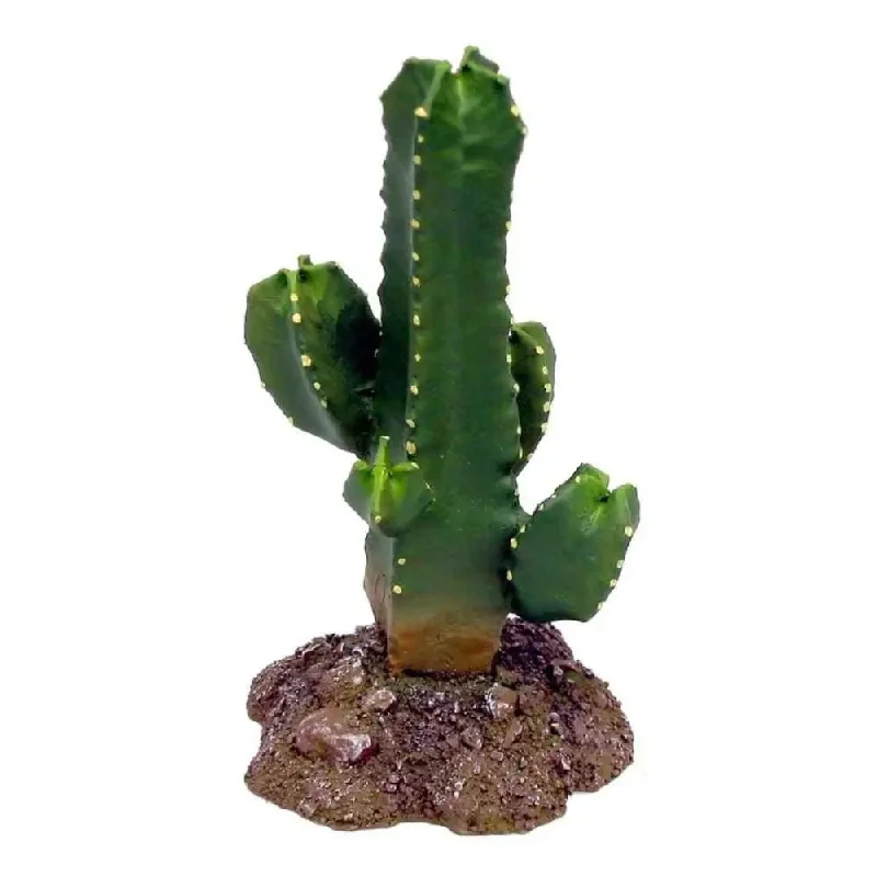 - Elderly dog joint care mattressWeco Products Wecorama Badlands Tetragonus Cactus Terrarium Ornament Tetragonus Cactus Brown, Green - Elderly dog joint care mattressWeco Products Wecorama Badlands Tetragonus Cactus Terrarium Ornament Tetragonus Cactus Brown, Green