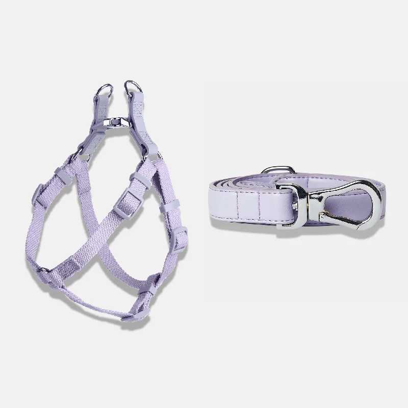 - Chinchilla cooling ice nest ceramic plateFresh Lilac Dog Harness & Lead Set