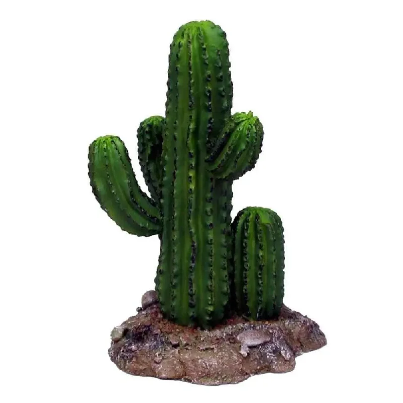 - Air box TSA certified check-inWeco Products Wecorama Badlands Saguaro Cactus Terrarium Ornament Saguaro Cactus Brown, Green - Air box TSA certified check-inWeco Products Wecorama Badlands Saguaro Cactus Terrarium Ornament Saguaro Cactus Brown, Green
