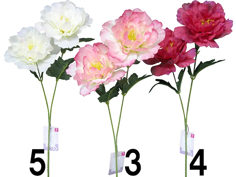 - Chinchilla cooling ice nest ceramic platePeony