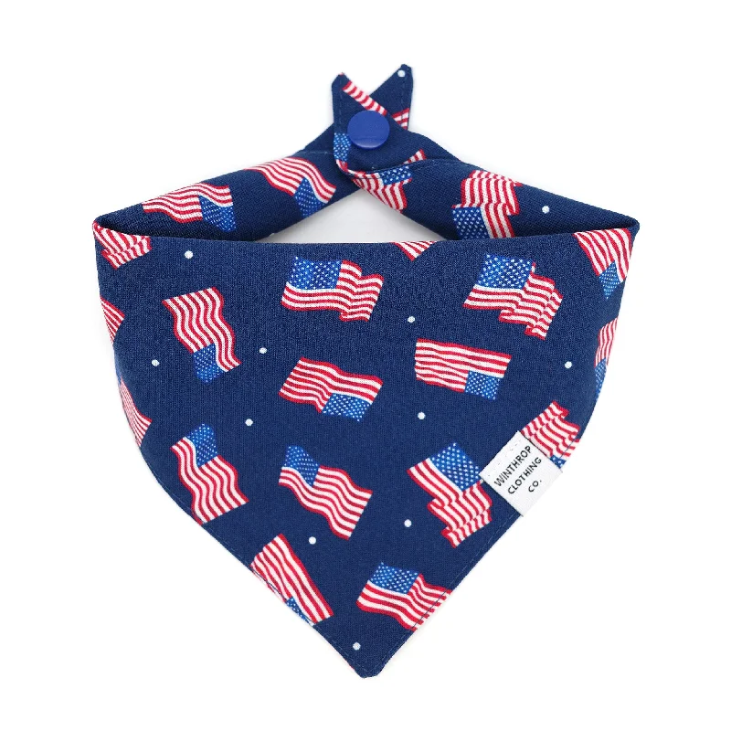  -Non-contact cat thermometerAmerican Flag Dog Bandana