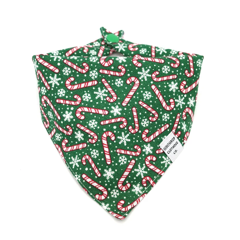  -Splash-proof food bowl AND Anti-choking slow food bowlCandy Cane Dog Bandana
