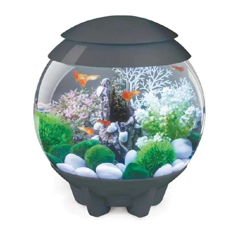 - ​​Christmas pet Christmas clothingBiOrb HALO Multi-Color Remote Acrylic Aquarium Kit
