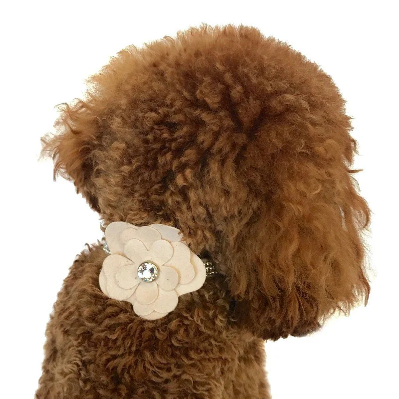 Pet rehabilitation recovery clothes (such as post-operative clothes)Garden Flower Dog Collar Slider Blush