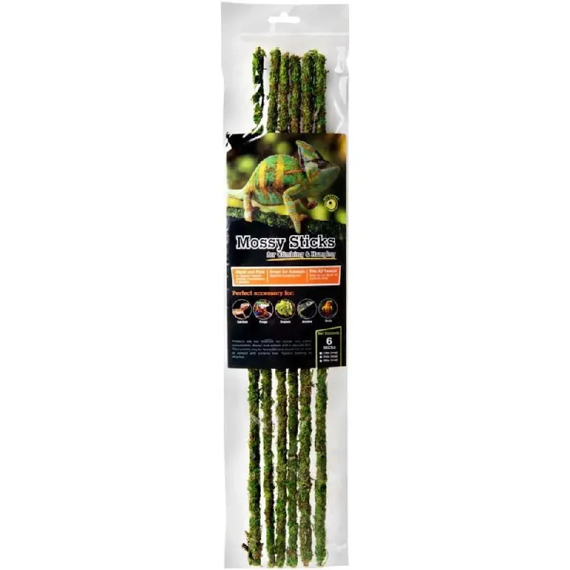 - Winter warm clothes for short-haired dogsGalapagos Mossy Sticks Terrarium Ornament Mossy Sticks Fresh Green 6 ct