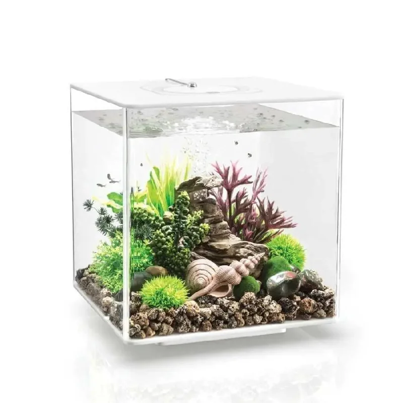 - Durable nylon dog leash wholesalebiOrb CUBE 30 Aquarium with MCR Light 8 gallon