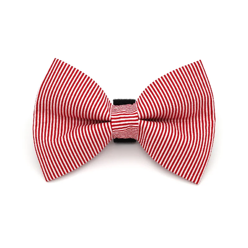- Smart cat litter box with automatic cleaningRed Pinstripe Dog Bow Tie