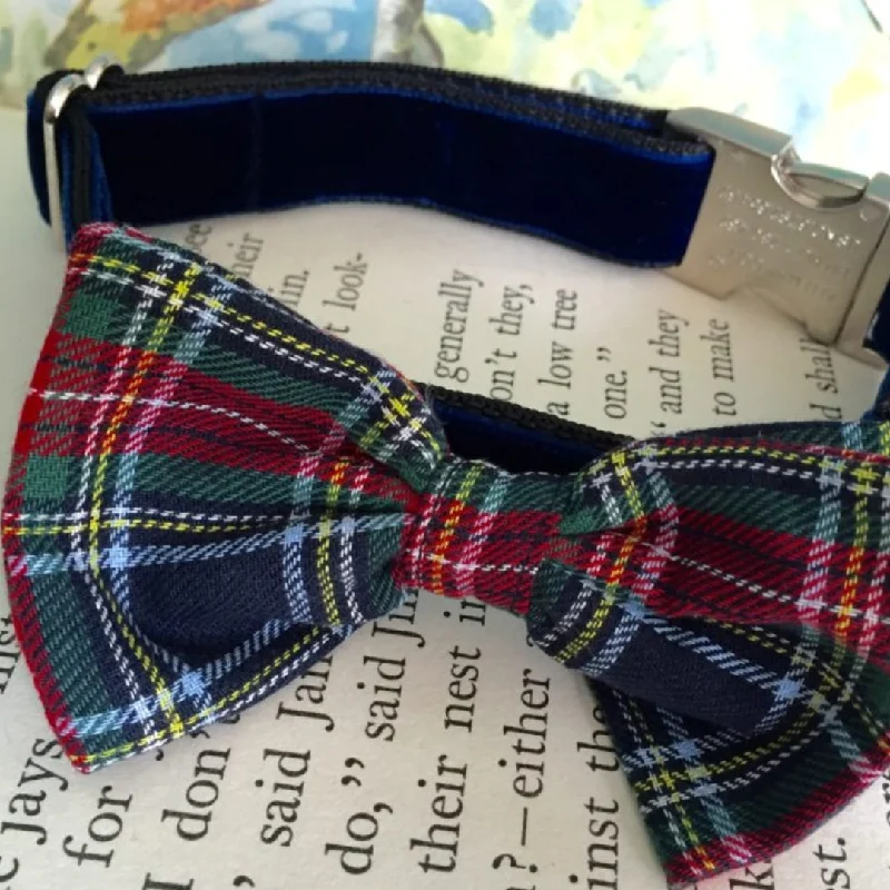 - Dog heart rate monitoring collarDougal McHandsome Bow Tie Designer Dog Collar
