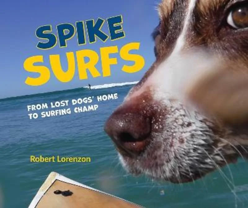 - Pet electric nail grinder silent modelSpike Surfs