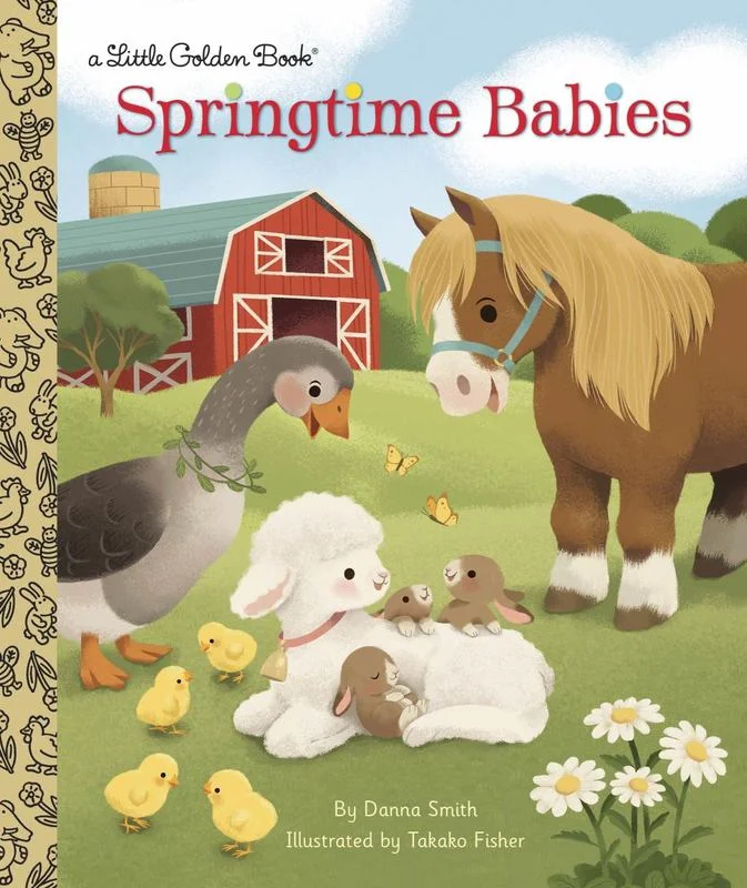 - Postoperative pet anti-licking Elizabethan collarSpringtime Babies