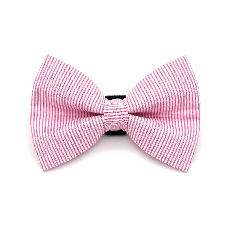  -Anti-scratch scratching board AND cat bed in onePink Pinstripe Dog Bow Tie