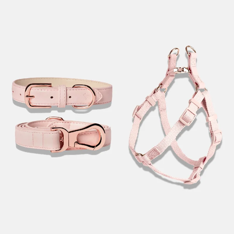 - Pet monitor with cameraBlush Pink Dog Collar, Harness & Lead Set