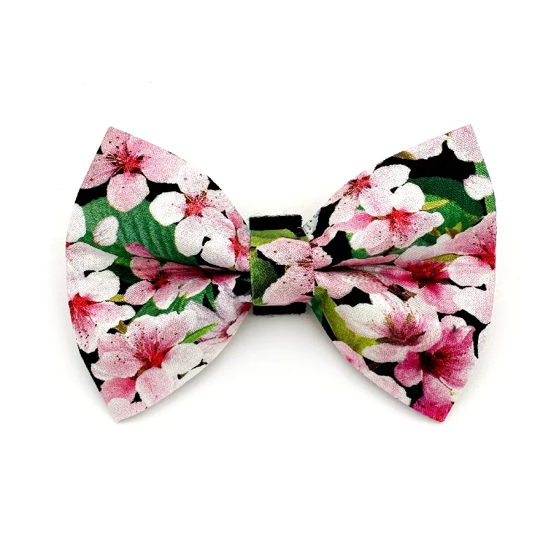 - Automatic temperature adjustment cat bedCherry Blossom Black Dog Bow Tie