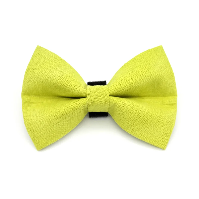 - Cat anti-jump window safety netSour Apple Dog Bow Tie