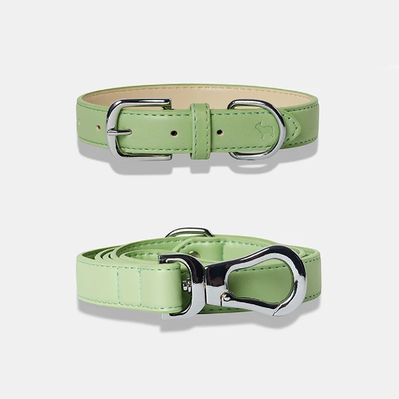 - ​​Christmas pet Christmas clothingLush Green Dog Collar & Lead Set