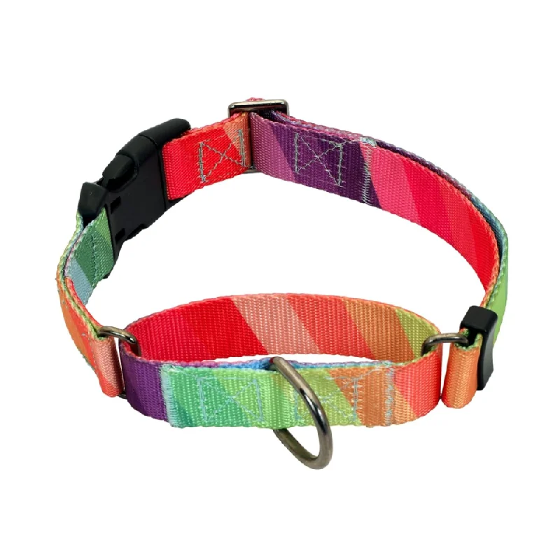 - Pet monitor with cameraGlucklich Martingale Printed Adjustable Collar for Dogs (Rainbow)
