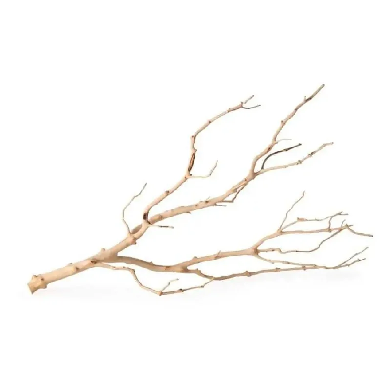 - Pet tear stain cleaning wipesGalapagos Staghorn Wood Manzanita Branch Brown