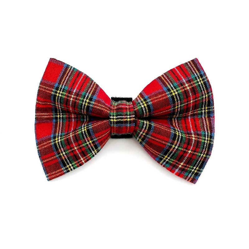 - Pregnant cat delivery room warming boxDuncan Plaid Dog Bow Tie