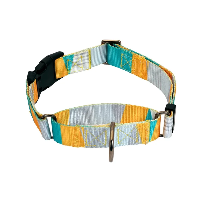 - Teething and chewing toys for puppiesGlucklich Martingale Printed Adjustable Collar for Dogs (Cadillac)