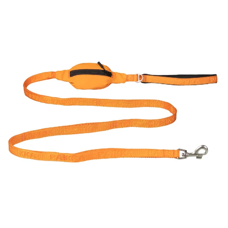  . **Cat toy cat teaser**Visibility Dog Leash Orange