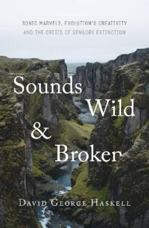 - Custom pet birthday cakeSounds Wild and Broken
