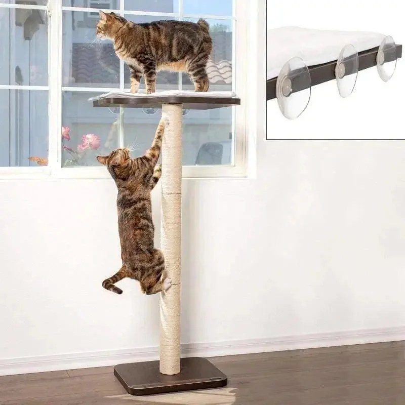 - Chinchilla cooling ice nest ceramic plateUltimate Window Perch Cat Climber & Tree (45” Tall) - Chinchilla cooling ice nest ceramic plateUltimate Window Perch Cat Climber & Tree (45” Tall)