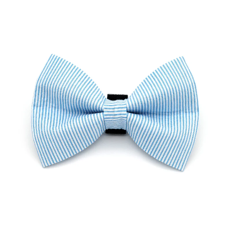- Winter warm clothes for short-haired dogsBlue Pinstripe Dog Bow Tie