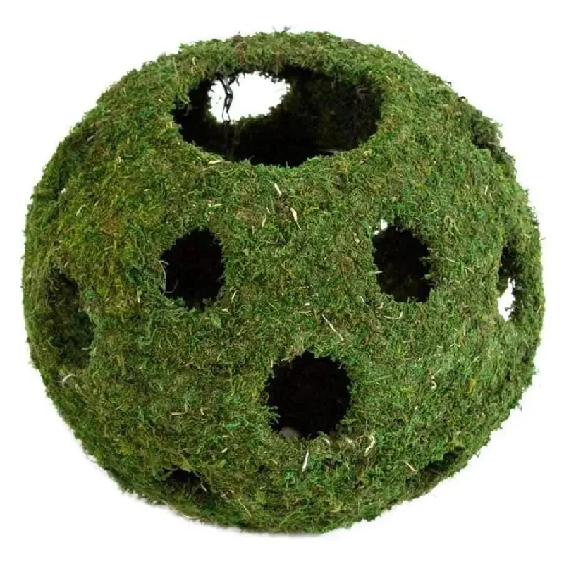 ---Galapagos Mossy Cave Terrarium Hideaway Cave Fresh Green