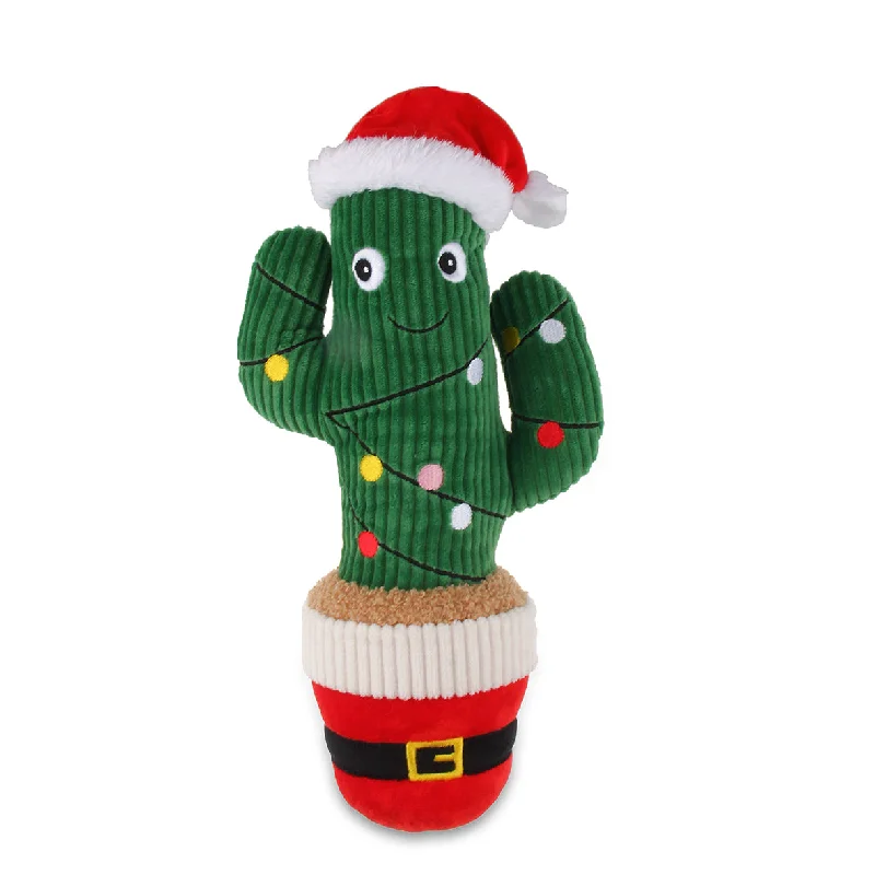 - Pet diabetes prescription foodChristmas Cactus