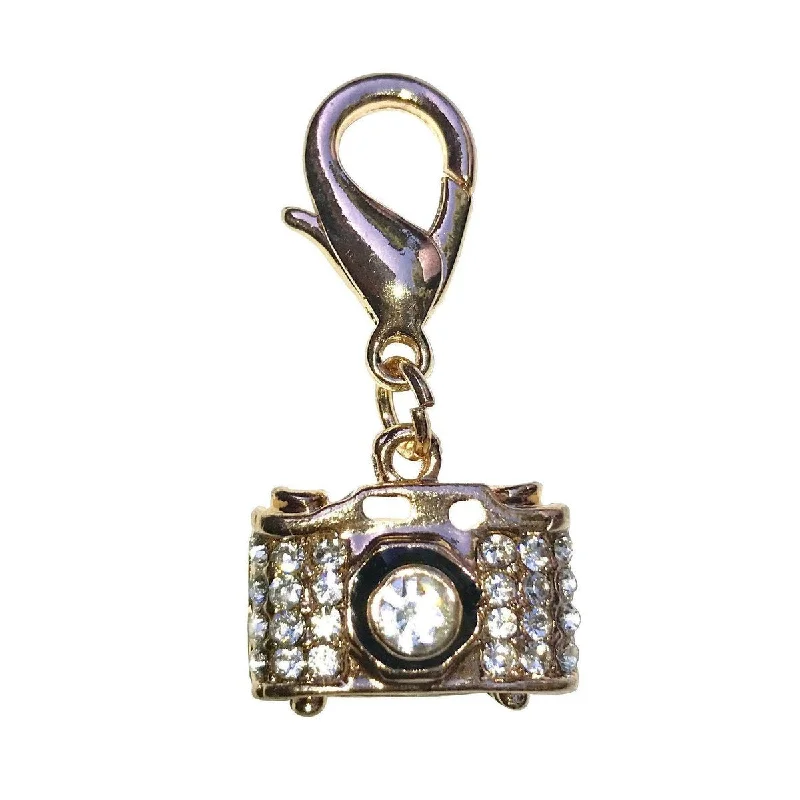Pet holiday dress-up clothesCamera Dog Collar Charm