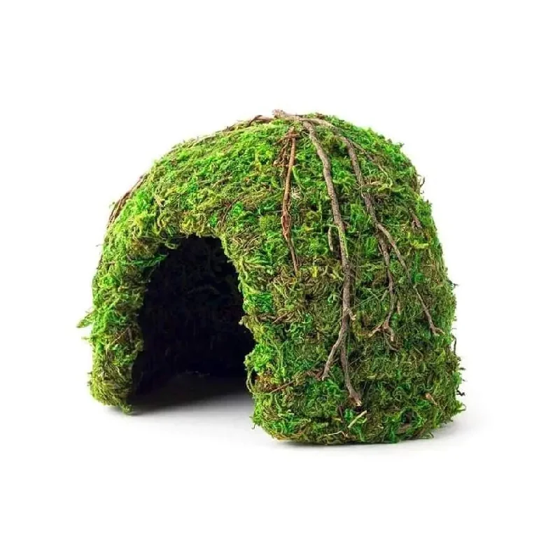- ​​Christmas pet Christmas clothingGalapagos Mossy Dome Terrarium Hideaway Dome Fresh Green