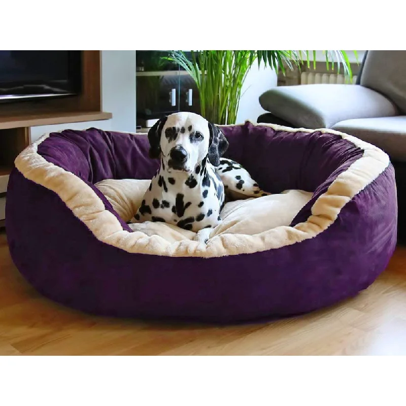 - Cat anti-jump window safety netFluffy's Luxurious Polyester Filled Soft Dual Colour Bed for Dogs and Cats (Purple)