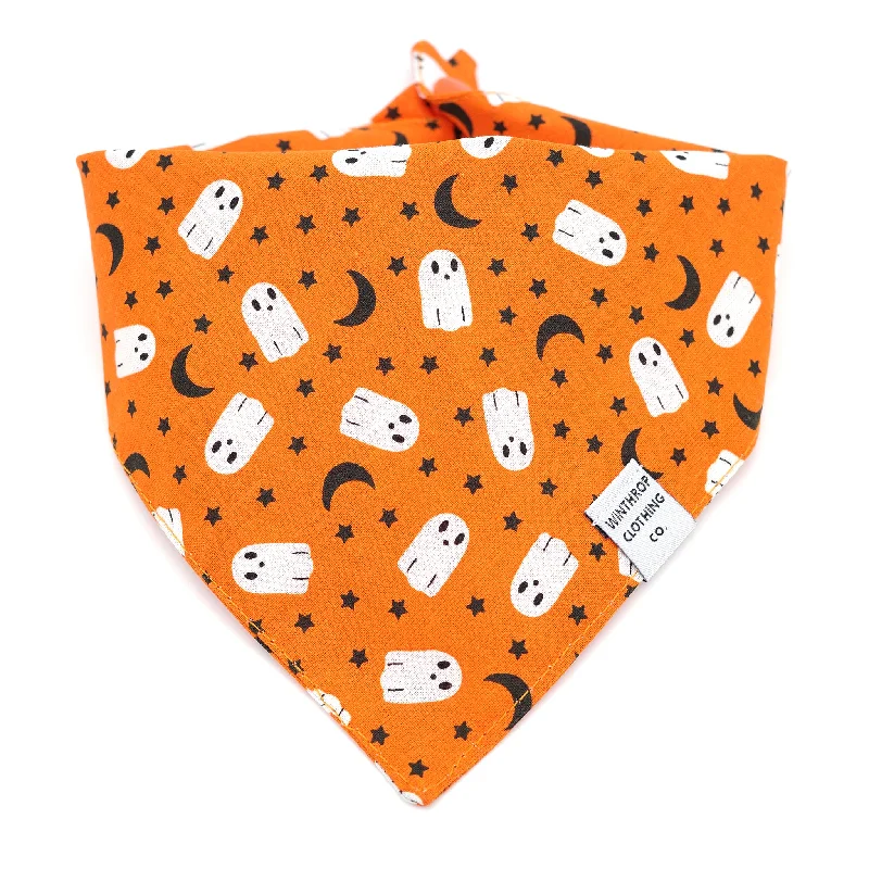 - Chinchilla cooling ice nest ceramic plateGhost Dog Bandana