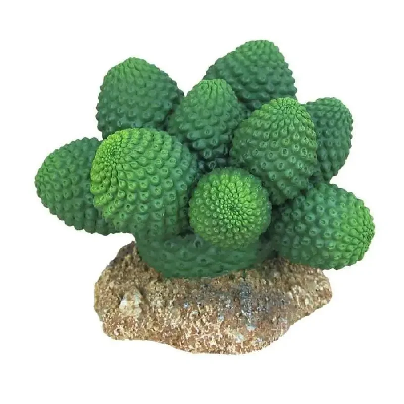 - Dog anti-slip matWeco Products Wecorama Badlands Pointed Sonoran Cactus Terrarium Ornament Pointed Sonoran Cactus - Dog anti-slip matWeco Products Wecorama Badlands Pointed Sonoran Cactus Terrarium Ornament Pointed Sonoran Cactus