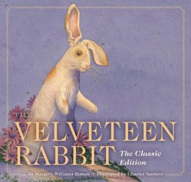 ---The Velveteen Rabbit