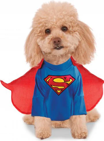 - Hamster silent running wheel to prevent chewingSuperman Pet Dog Costume