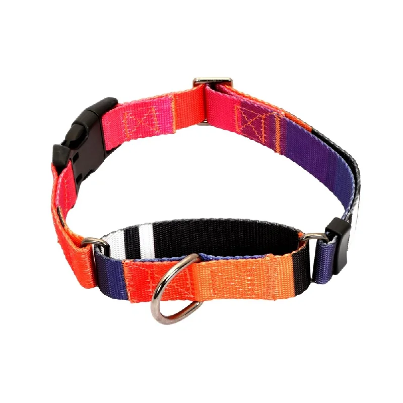 - Durable nylon dog leash wholesaleGlucklich Martingale Printed Adjustable Collar for Dogs (Dark Night)