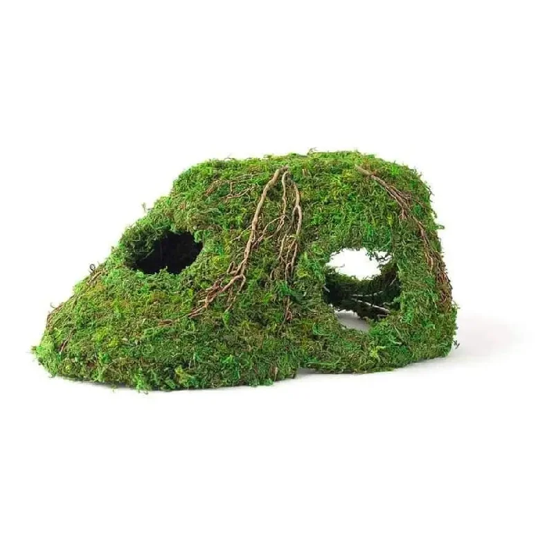 - Chinchilla cooling ice nest ceramic plateGalapagos Sapa Corner Hide Terrarium Hideaway Corner Hide Fresh Green 1ea/10 in